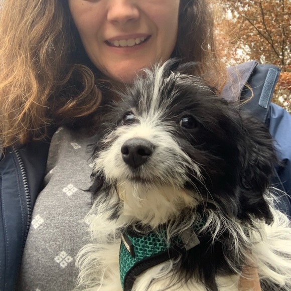 Meet your Posher, Holly - Picture 1 of 1